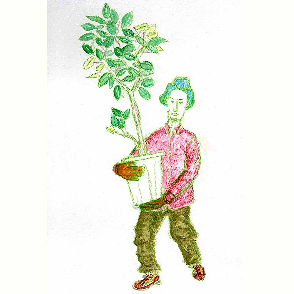 イラストレーション2