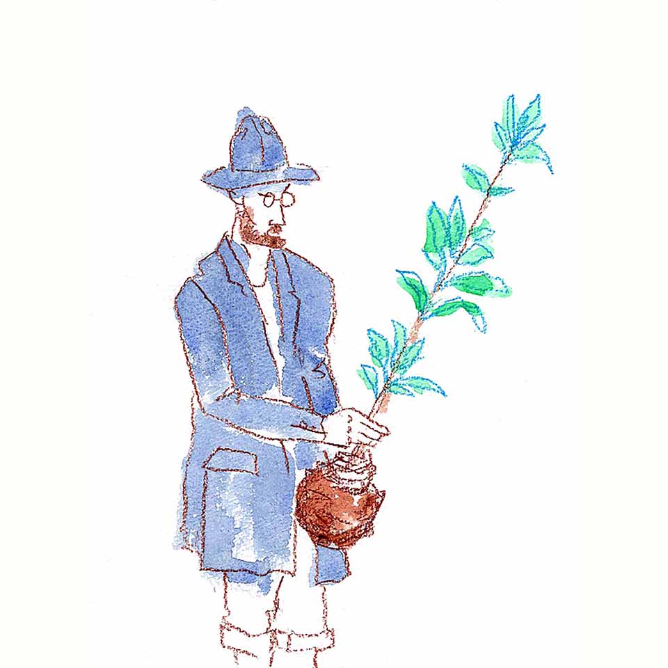 イラストレーション5